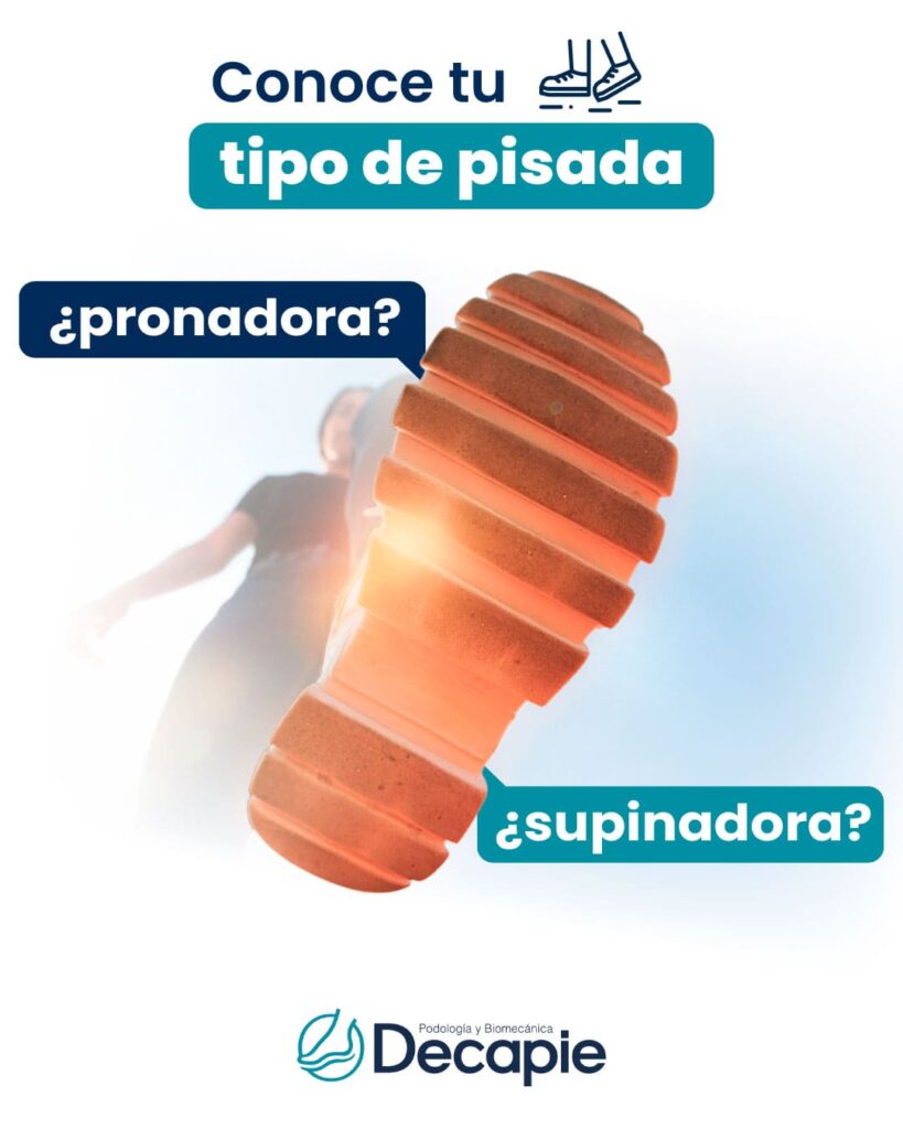 pronador supinador